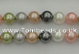 CSB310 15.5 inches 8mm round mixed color shell pearl beads