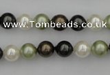 CSB314 15.5 inches 8mm round mixed color shell pearl beads