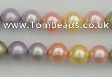 CSB330 15.5 inches 10mm round mixed color shell pearl beads