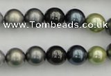 CSB340 15.5 inches 10mm round mixed color shell pearl beads