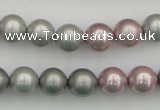 CSB341 15.5 inches 10mm round mixed color shell pearl beads