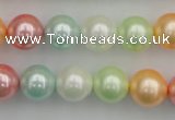 CSB353 15.5 inches 12mm round mixed color shell pearl beads