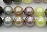 CSB364 15.5 inches 12mm round mixed color shell pearl beads