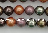 CSB368 15.5 inches 12mm round mixed color shell pearl beads