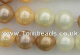 CSB371 15.5 inches 14mm round mixed color shell pearl beads