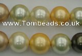 CSB374 15.5 inches 14mm round mixed color shell pearl beads