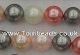 CSB376 15.5 inches 14mm round mixed color shell pearl beads