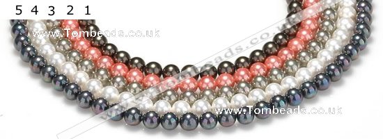 CSB38 16 inches 10mm round shell pearl beads Wholesale