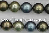 CSB384 15.5 inches 14mm round mixed color shell pearl beads