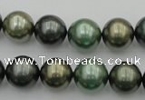 CSB385 15.5 inches 14mm round mixed color shell pearl beads