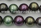 CSB386 15.5 inches 14mm round mixed color shell pearl beads