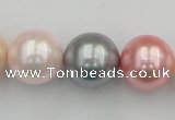 CSB391 15.5 inches 16mm round mixed color shell pearl beads