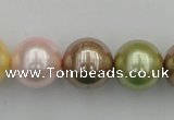 CSB393 15.5 inches 16mm round mixed color shell pearl beads