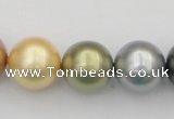 CSB395 15.5 inches 16mm round mixed color shell pearl beads
