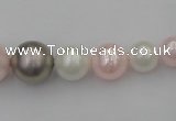 CSB406 15.5 inches 8mm - 16mm round mixed color shell pearl beads