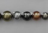 CSB410 15.5 inches 8mm - 16mm round mixed color shell pearl beads