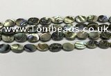 CSB4126 15.5 inches 8*12mm oval abalone shell beads wholesale