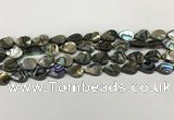 CSB4135 15.5 inches 8*12mm flat teardrop abalone shell beads