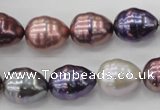 CSB553 15.5 inches 12*15mm whorl teardrop mixed color shell pearl beads