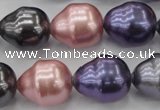 CSB573 15.5 inches 16*19mm whorl teardrop mixed color shell pearl beads