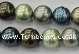 CSB623 15.5 inches 14mm whorl round mixed color shell pearl beads