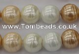 CSB624 15.5 inches 14mm whorl round mixed color shell pearl beads