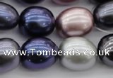 CSB680 15.5 inches 16*19mm oval mixed color shell pearl beads