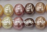 CSB699 15.5 inches 13*15mm oval mixed color shell pearl beads