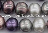 CSB714 15.5 inches 16*19mm oval mixed color shell pearl beads