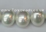 CSB825 15.5 inches 16*19mm oval shell pearl beads wholesale