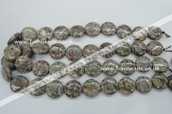 CSF01 15.5 inches 20mm flat round shell fossil jasper beads