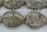 CSF03 15.5 inches 18*25mm flat teardrop shell fossil jasper beads