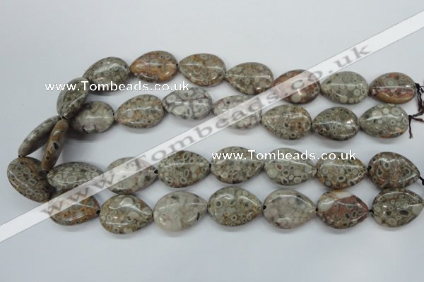 CSF03 15.5 inches 18*25mm flat teardrop shell fossil jasper beads