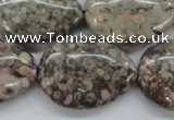 CSF04 15.5 inches 22*30mm flat teardrop shell fossil jasper beads