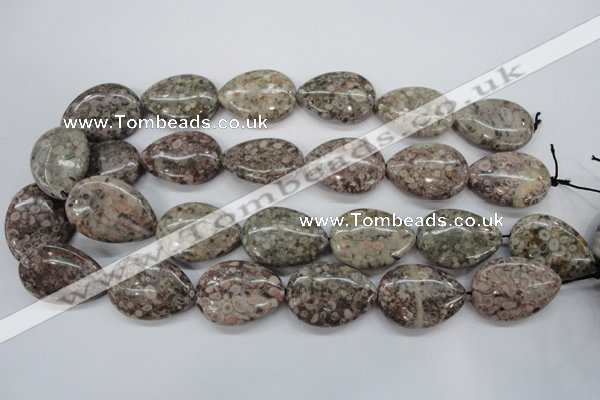 CSF04 15.5 inches 22*30mm flat teardrop shell fossil jasper beads