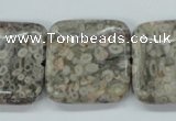 CSF07 15.5 inches 25*25mm square shell fossil jasper beads