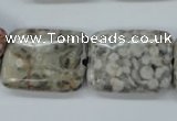 CSF09 15.5 inches 18*25mm rectangle shell fossil jasper beads