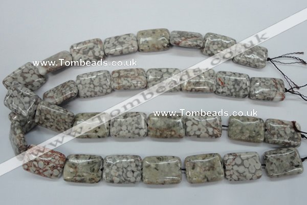 CSF09 15.5 inches 18*25mm rectangle shell fossil jasper beads