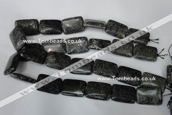 CSI117 15.5 inches 22*30mm rectangle silver scale stone beads