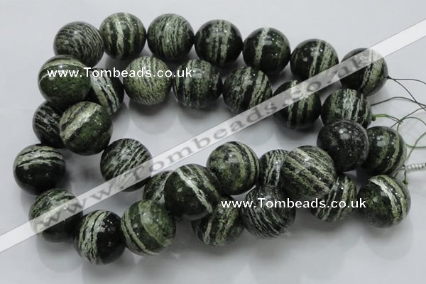 CSJ11 15.5 inches 25mm round green silver line jasper beads wholesale