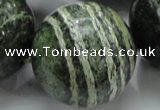 CSJ12 15.5 inches 30mm round green silver line jasper beads wholesale