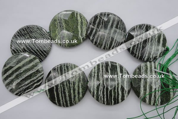 CSJ126 15.5 inches 50mm faceted coin green silver line jasper beads