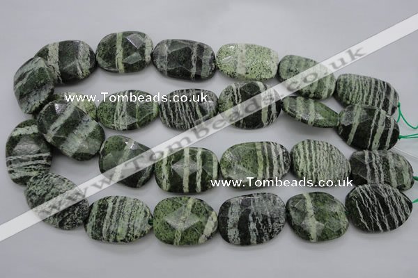 CSJ127 15.5 inches 20*30mm faceted freeform green silver line jasper beads