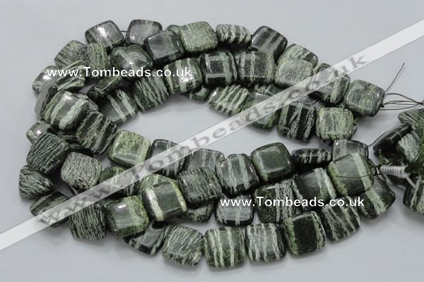 CSJ29 15.5 inches 20*20mm square green silver line jasper beads