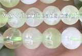 CSJ310 15.5 inches 5mm round serpentine new jade beads