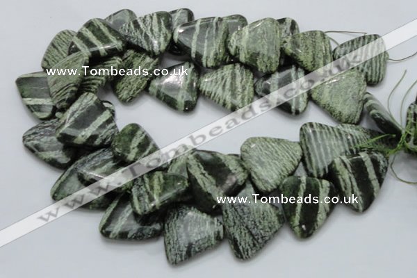 CSJ35 15.5 inches 30*30mm triangle green silver line jasper beads