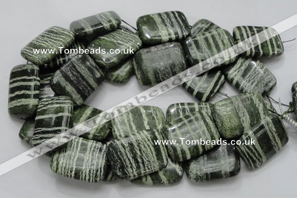 CSJ40 15.5 inches 30*40mm rectangle green silver line jasper beads