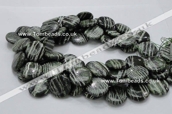 CSJ45 15.5 inches 25mm flat round green silver line jasper beads