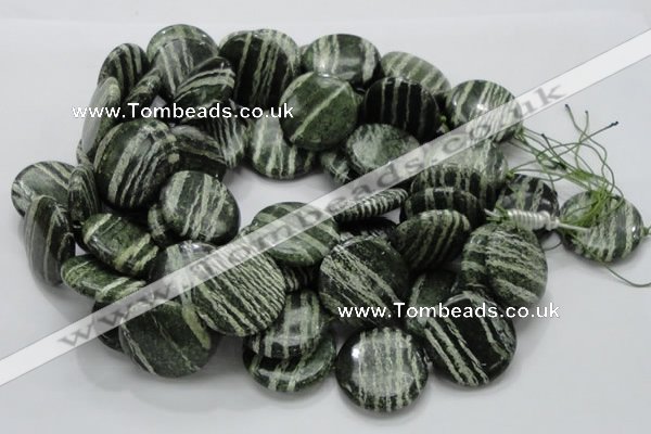 CSJ46 15.5 inches 30mm flat round green silver line jasper beads