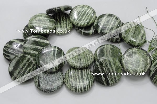 CSJ48 15.5 inches 40mm flat round green silver line jasper beads